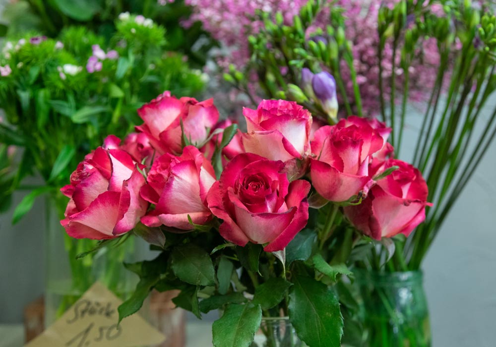 Gärtnerei Hinze | Weiß-Rote Rosen