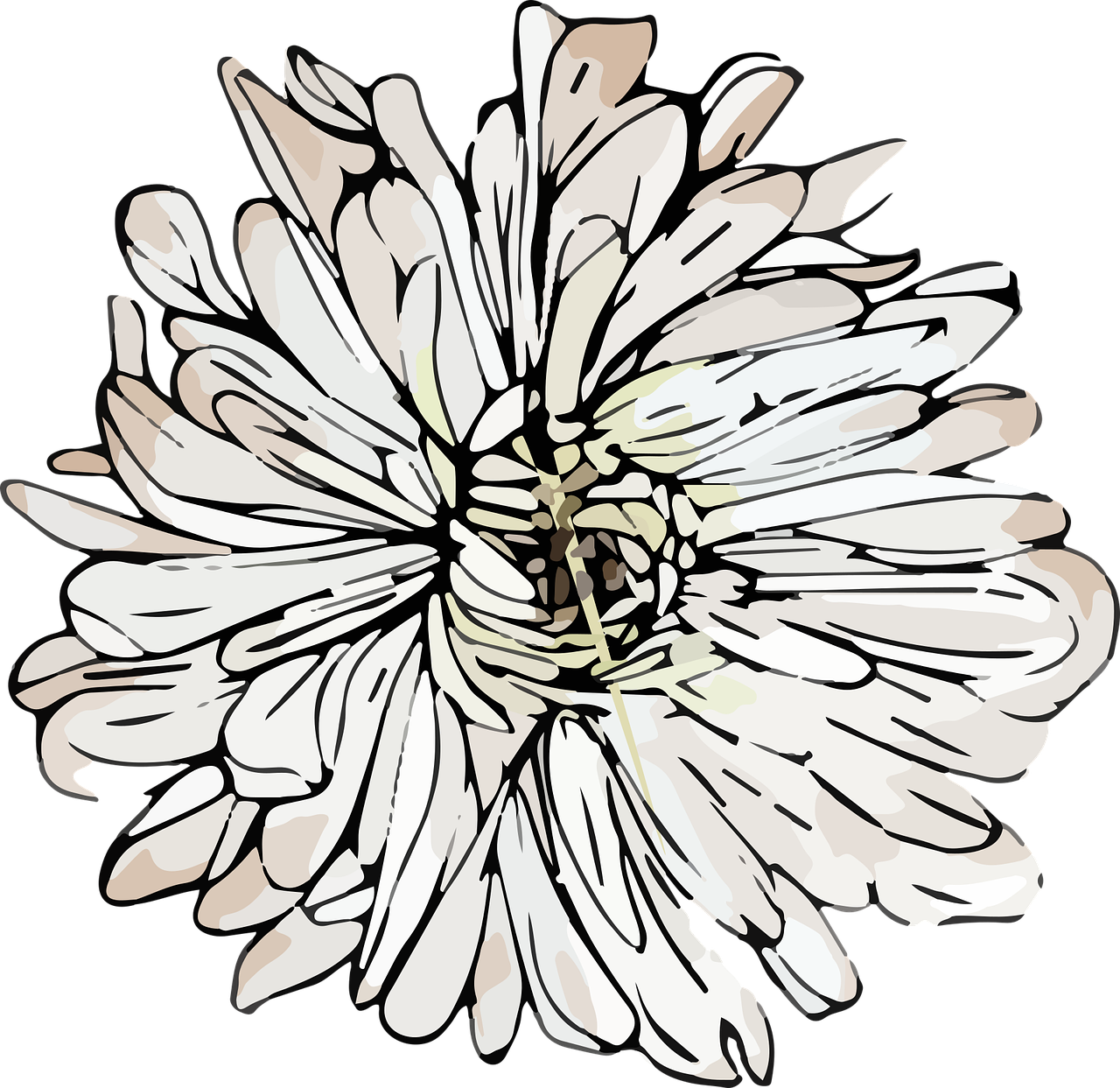 gaertnerei-hinze-luebeck-chrysanthemen-illustration-ahuz-ixabay