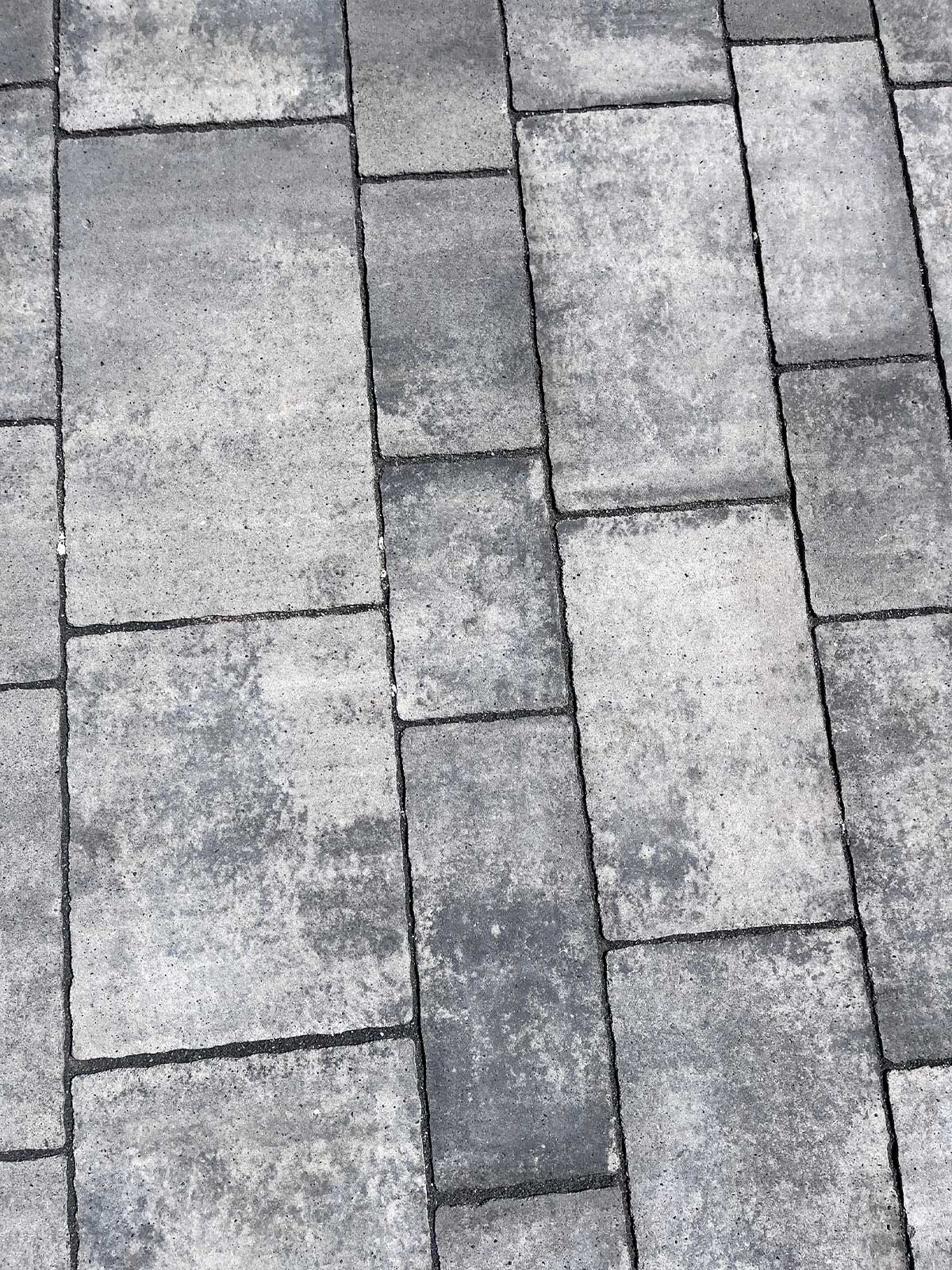 Betonsteinpflaster gartenweg rustikal grau in Lübeck - Gärtnerei Hinze