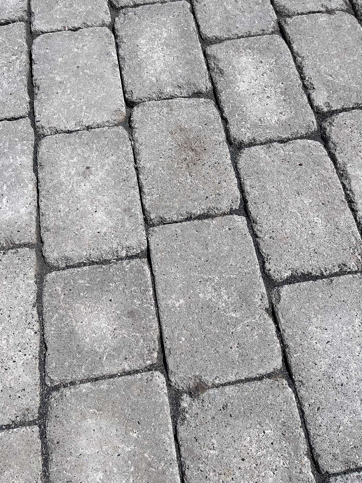 Betonsteinpflaster Terrassensteine grau in Lübeck - Gärtnerei Hinze